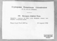 Image Associated With the Occurence
